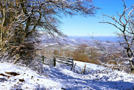 2024 st andree la cote (21)