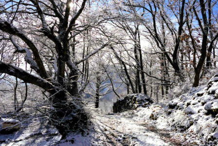 2024 st andree la cote (24)