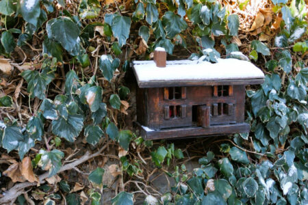 2024 st andree la cote (37)