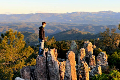 mt vinaigre 703 victor