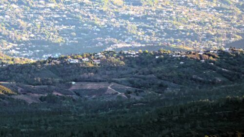 mt vinaigre 713 les marjoris detail