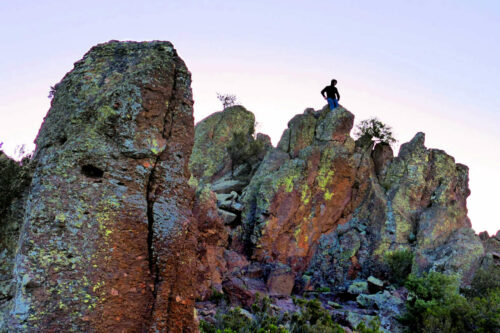 mt vinaigre 721 victor