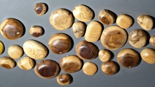 expo marc averly divers bois en tableau