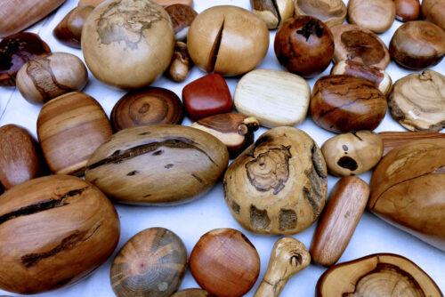 expo marc averly divers bois polis