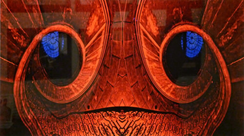 expo photo max masse