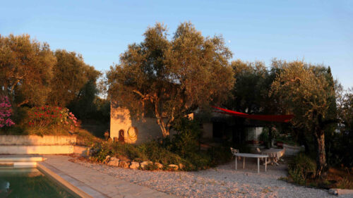 2024 marjoris (13) large