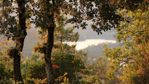 2024 marjoris (15) 16x9