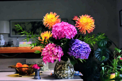 nature 2024 fleurs mornant juillet 3