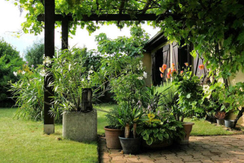 2024 juillet (6) detail)