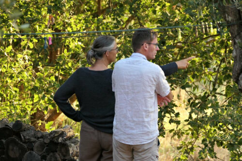 2024 marjoris (65).jpg