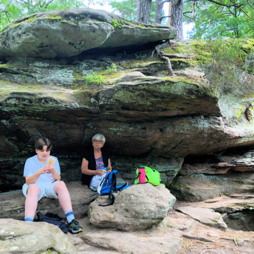 cecile juillet 2024 (pique nique) louis