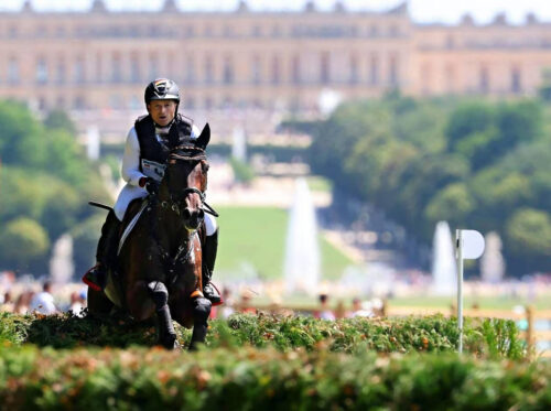 jo lieux versailles michael jung au cross (© pierre philippe marcou afp)