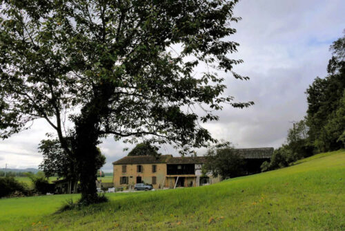 2024 lang betplan (1).jpg