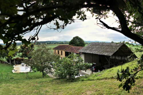 2024 lang betplan (9 10)