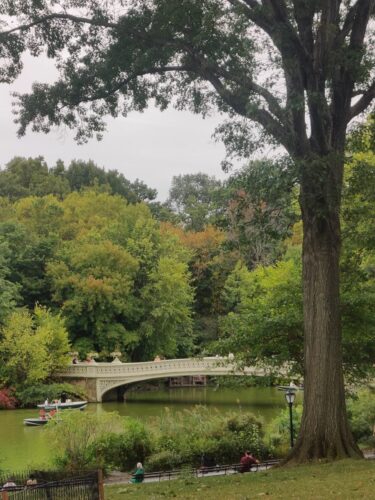 ny par les kirsch girls 4