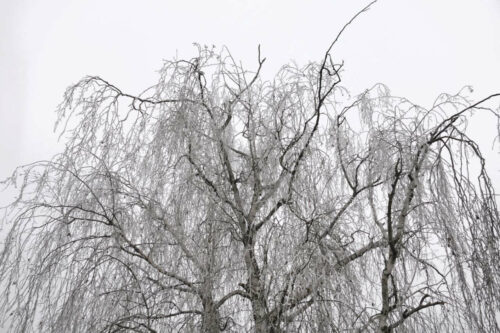 2024 mornant 073.jpg