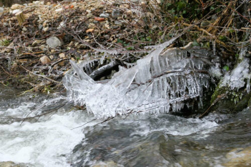 2024 mornant 087.jpg