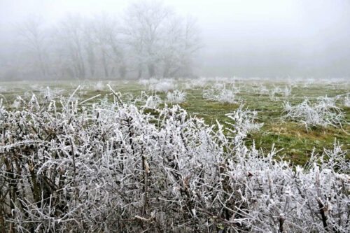 2024 mornant 089.jpg