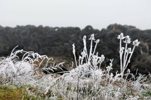 2024 mornant 101.jpg