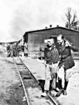 80 ans auschwitz birkenau photo struthof (dec 1944)