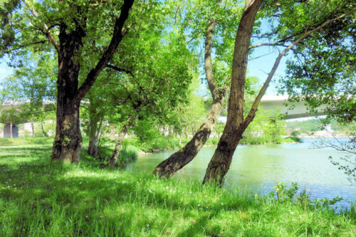 2025 paques st romain (15)