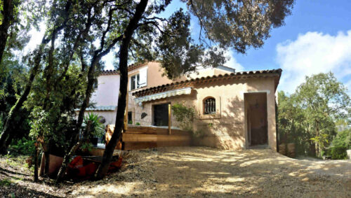 st gely monik (53 56) 16x9