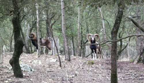 st gely parc (26 27)