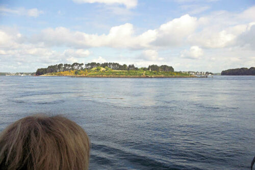 2025 cecile bretagne 3