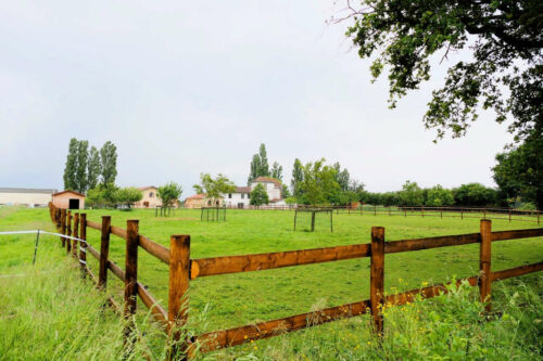 2025 dombes 67 domaine du pin