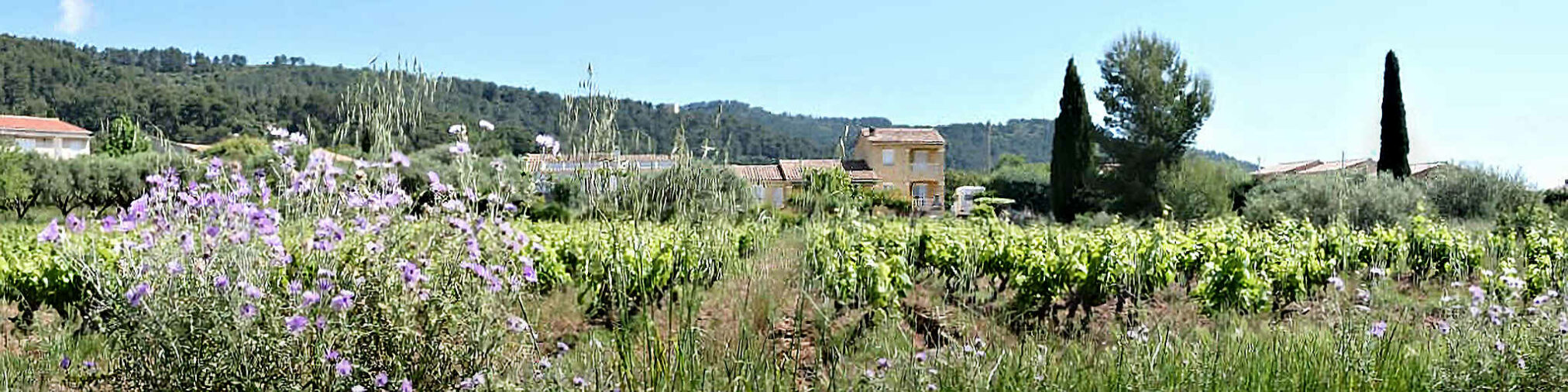 2025 dubois pujet 444 45 bandeau