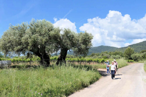 2025 dubois pujet 449