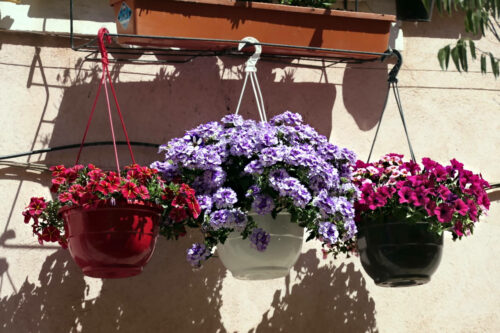 2025 dubois pujet 456