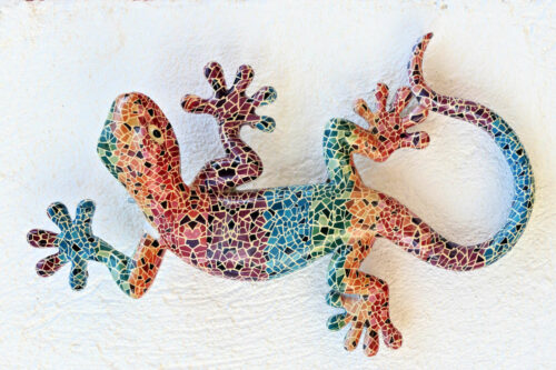 2025 dubois pujet margouillat