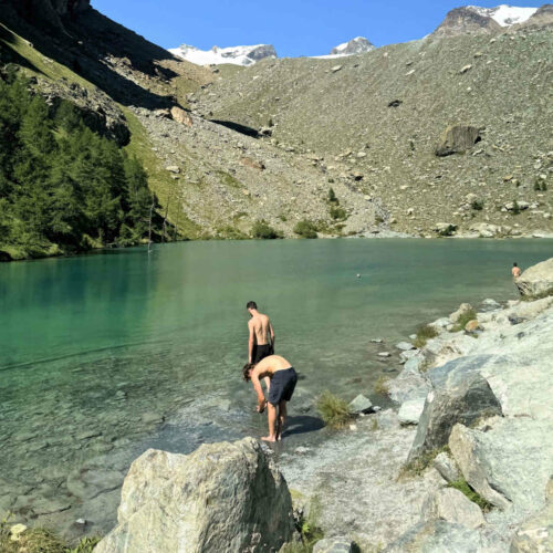 2025 v f castor et polux 6 detail