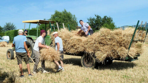 st jean de touslas moisson 1 (© le progres)