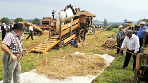 st jean de touslas moisson 3 (© le progres)