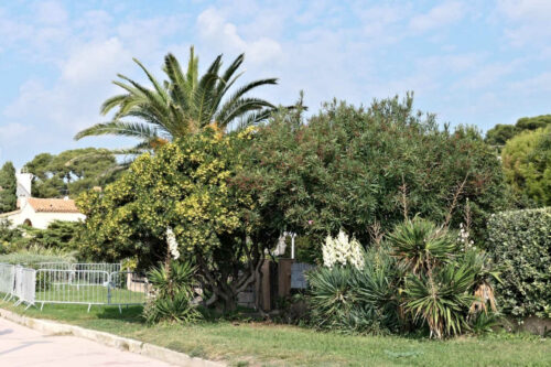 2025 jp r kirsch anne jean angemuller(19)