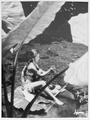 2025 jp r kirsch anne polynesie (1)