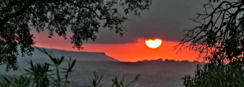 2025 jp r kirsch tanneron(1) large