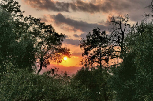 2025 jp r kirsch tanneron(18).jpg