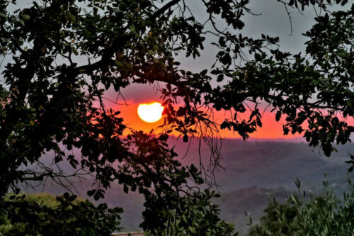 2025 jp r kirsch tanneron(2).jpg