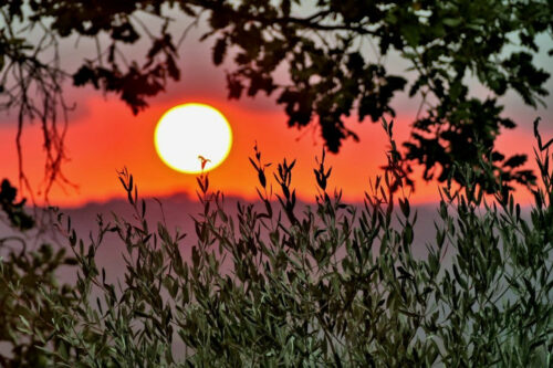 2025 jp r kirsch tanneron(4).jpg