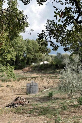 2025 jp r kirsch tanneron(10 11)