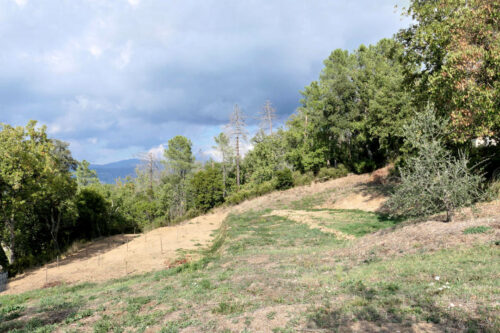 2025 jp r kirsch tanneron(13 14)