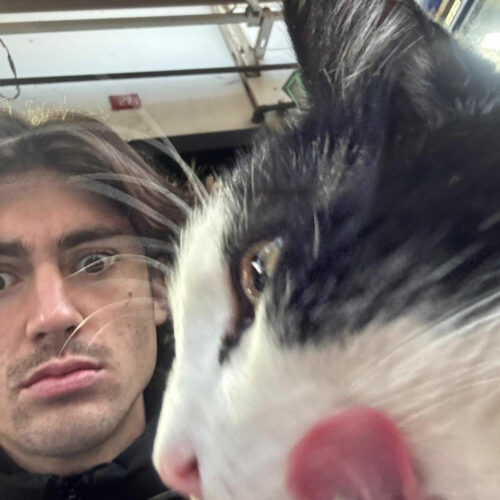 2025 julien istanbul chats partout