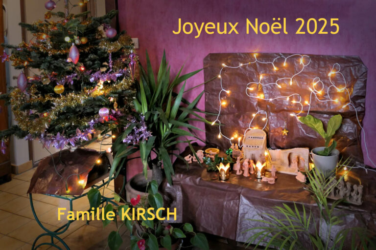 2025 creche joyeux noel des kirsch (1280)