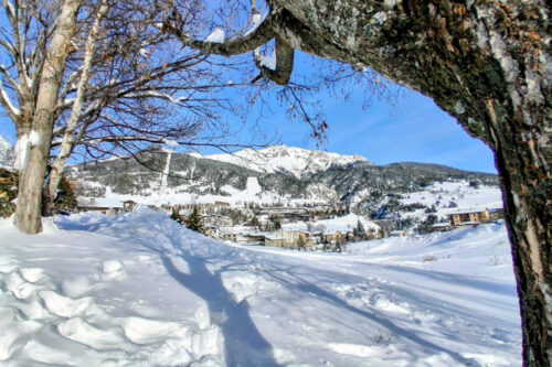 2026 auusois (56) (1280)