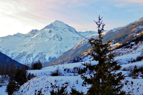 2026 auusois (93) (1280)