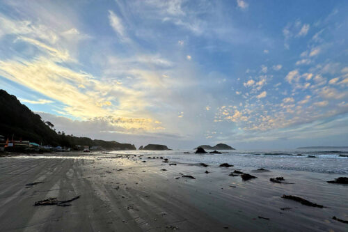 2026 03mars 11 julien chili Îles aux pingouins