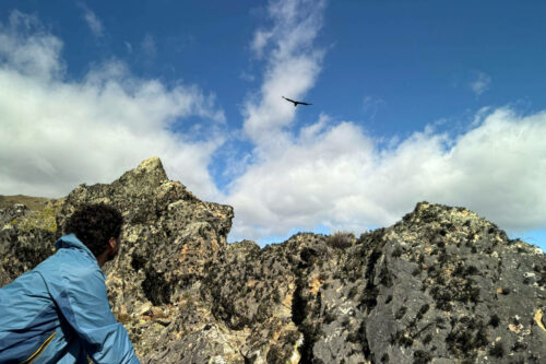 2026 03mars 4 julien rando chili lagunas altas 4